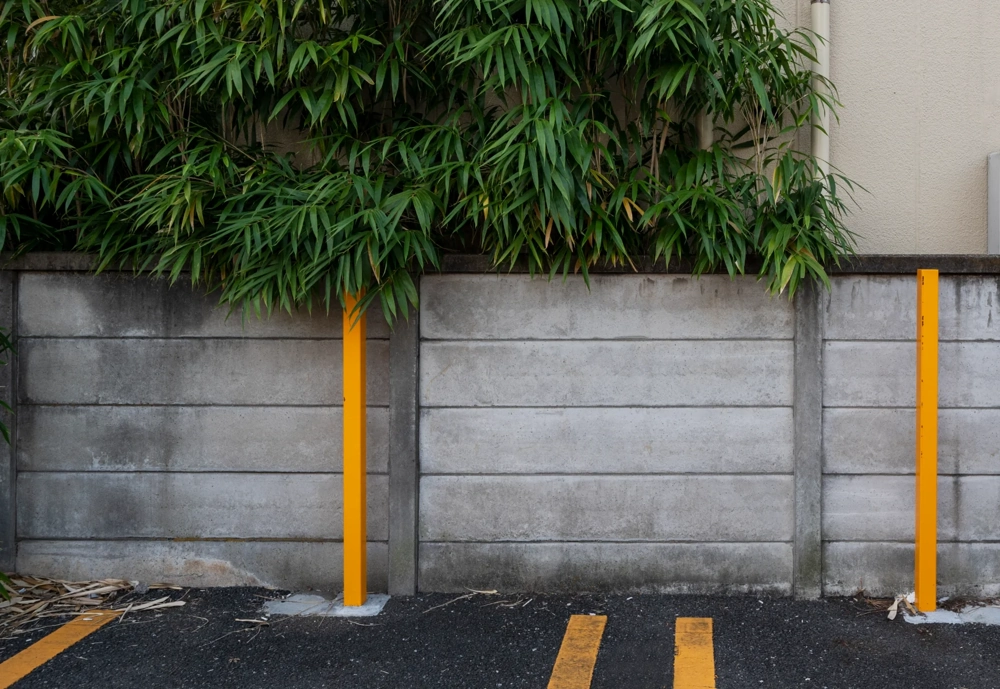 Ogrodzenia betonowe z paneli z żółtymi słupkami, bambus w tle i pasami parkingu